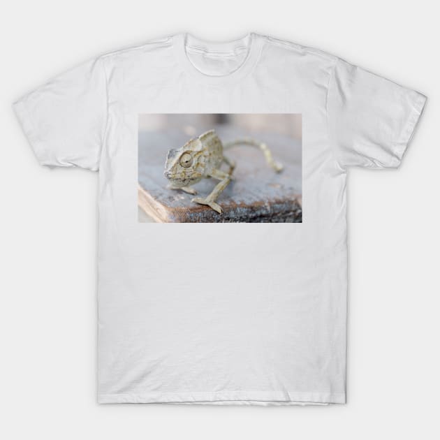 Chameleon close-up T-Shirt by Melissa Peltenburg Travel Photography